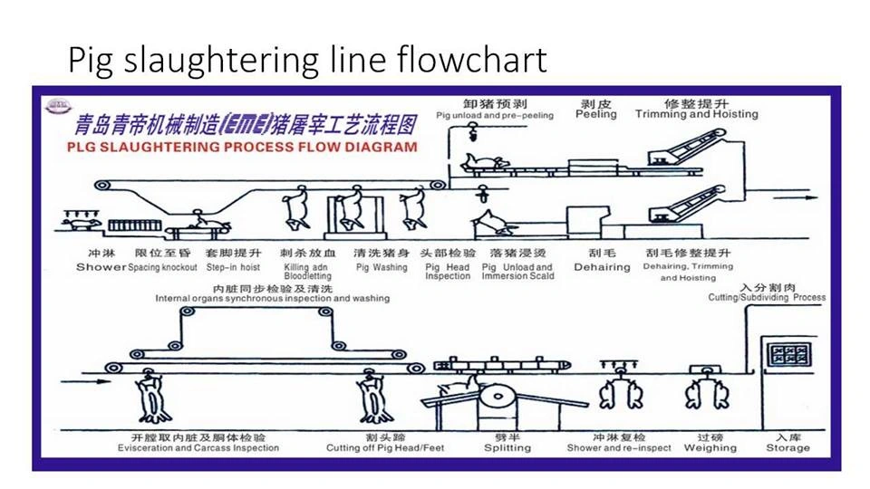 Eme Customized Pig Stunning and Killing Abattoir Machine with Slaughtering Equipment for Slaughterhouse Meat Processing Machine