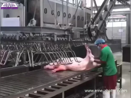 Máquina de matadero de aturdimiento y matanza de cerdos personalizada Eme con equipo de matanza para máquina de procesamiento de carne de matadero